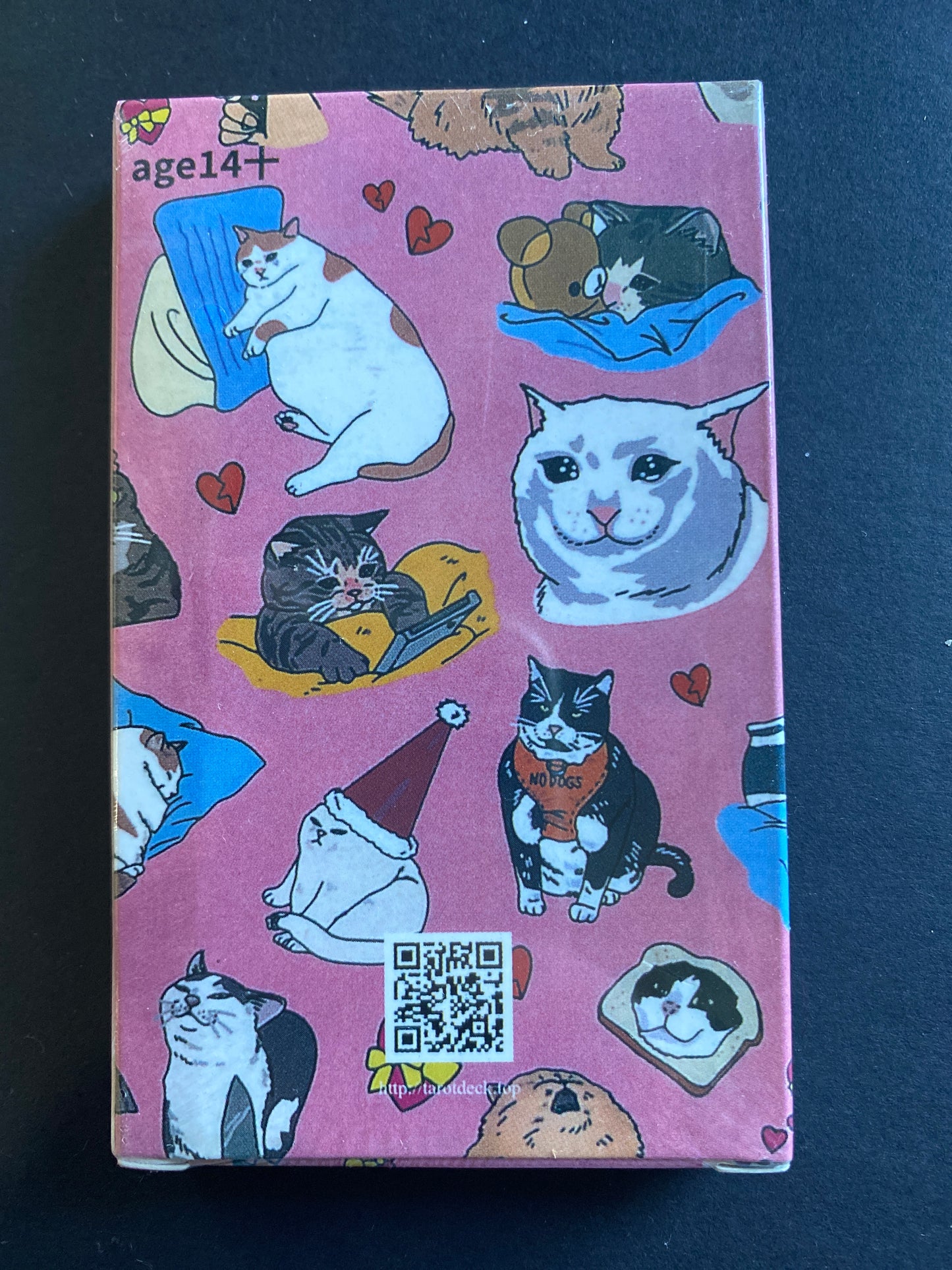 The cat deck Whimsical yet deeply intuitive oracle deck