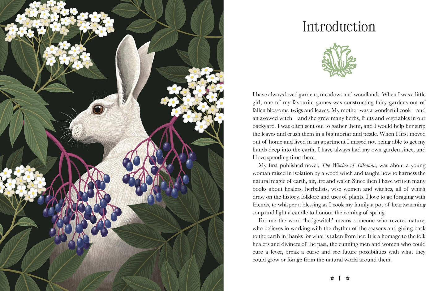 Kate Forsyth's Hedgewitch Oracle by Dr Kate Forsyth