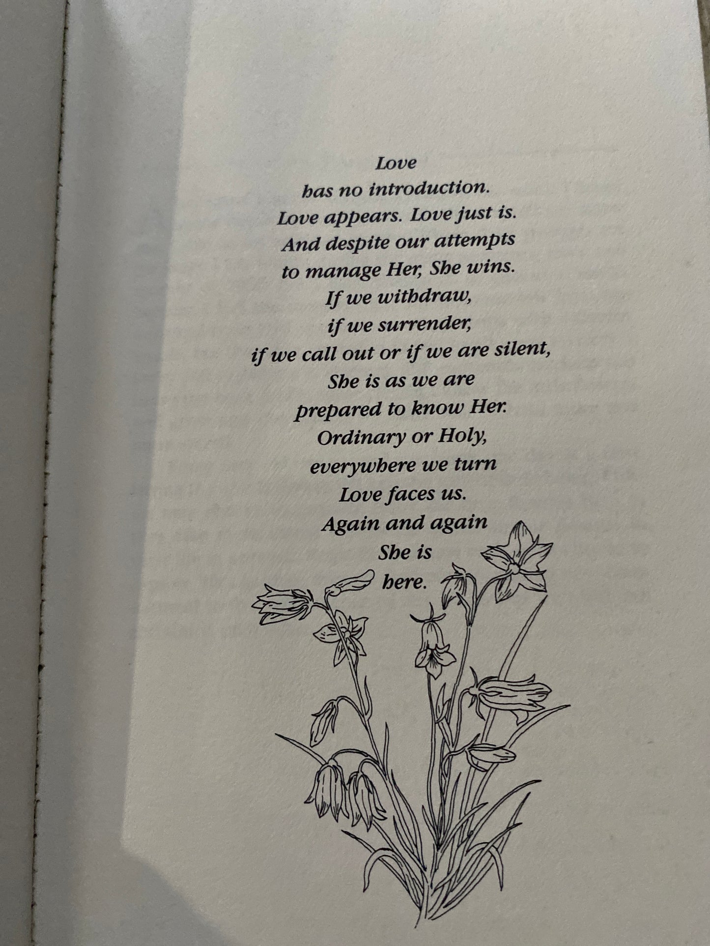 My Little Flowers: Gifts of the Moment by Bruce Davis