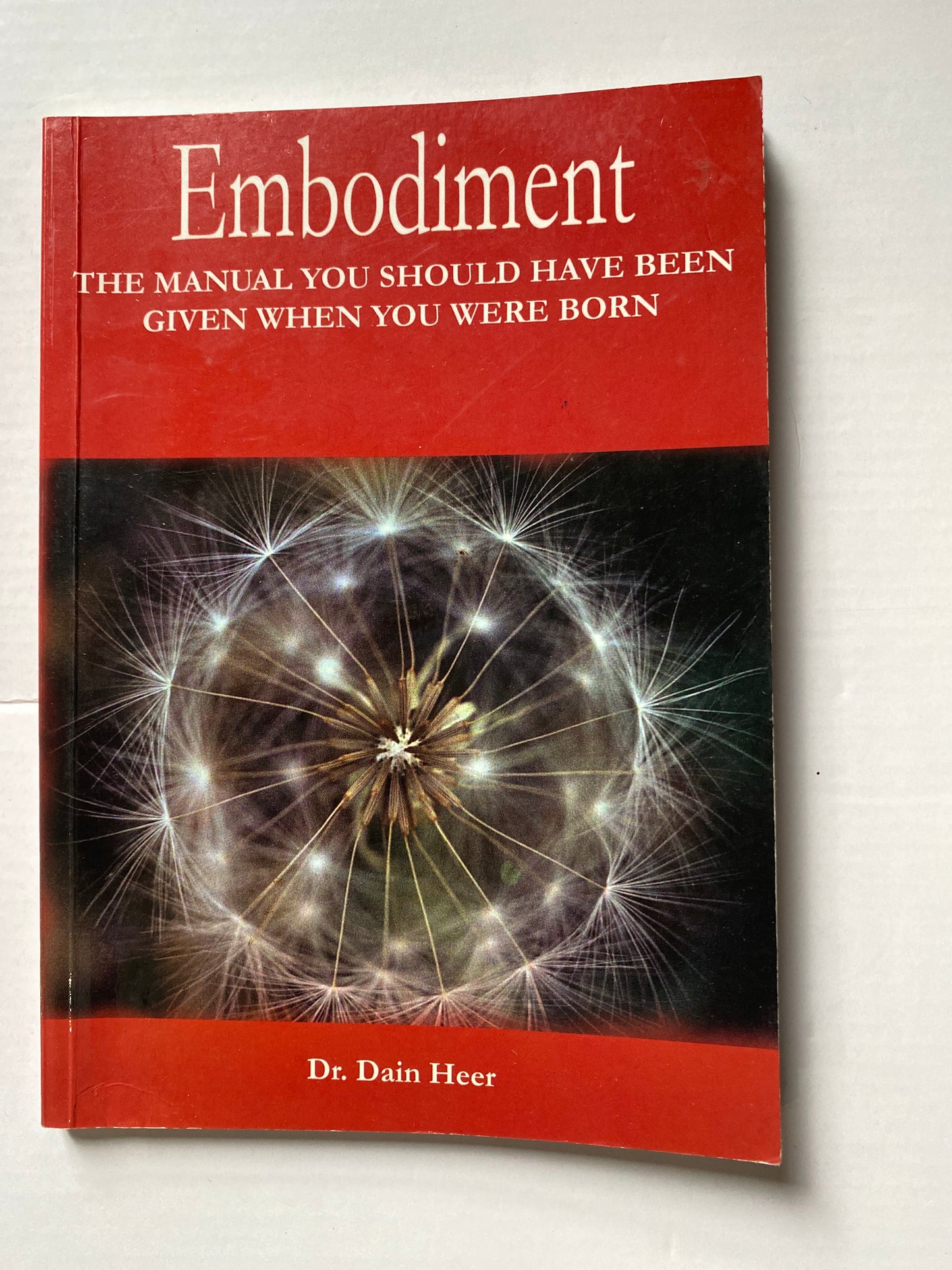 Embodiment: The Manual You Should Have Been Given When You Were Born by Dain Heer