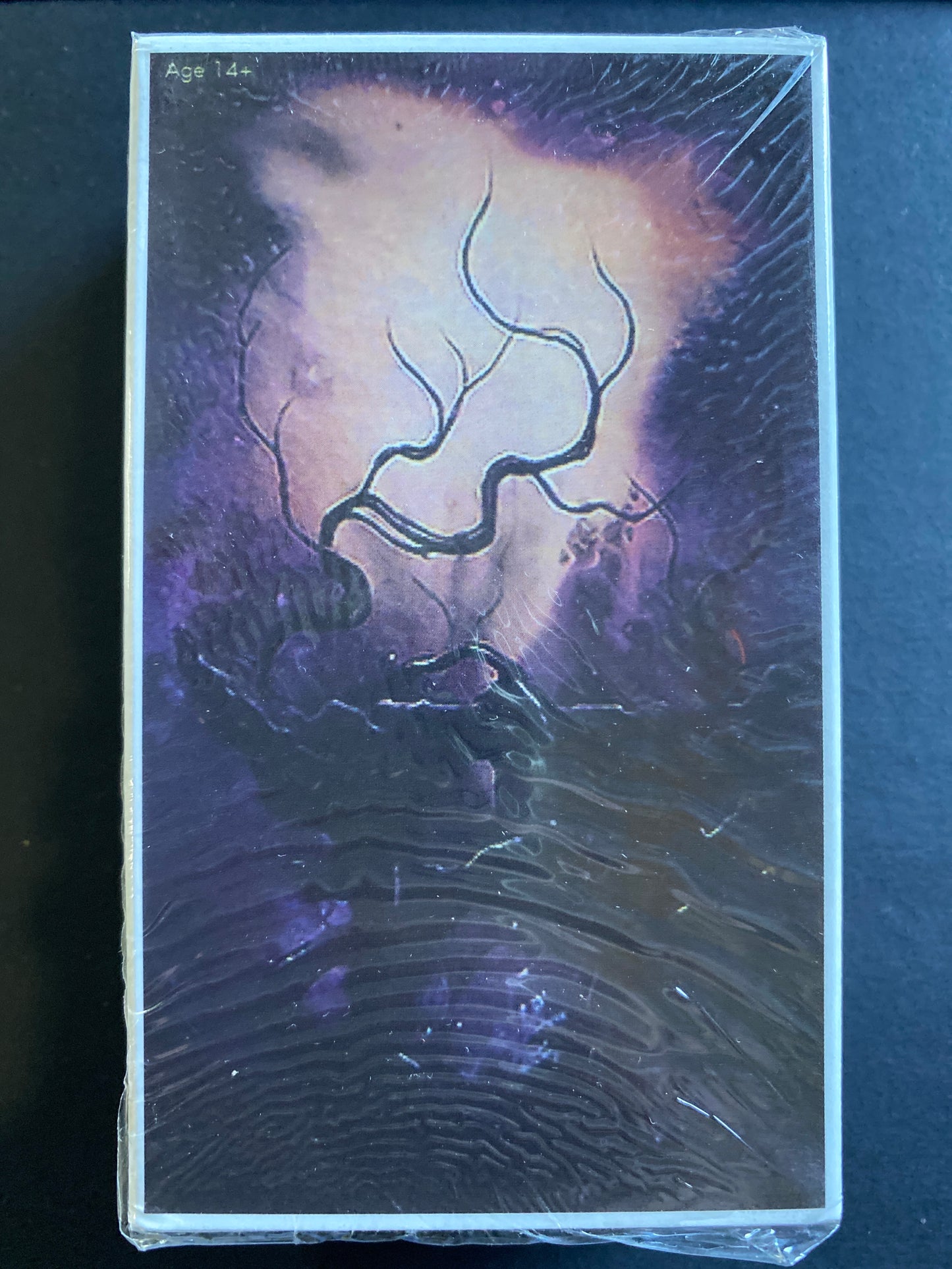 Haunted Cat Tarot Deck