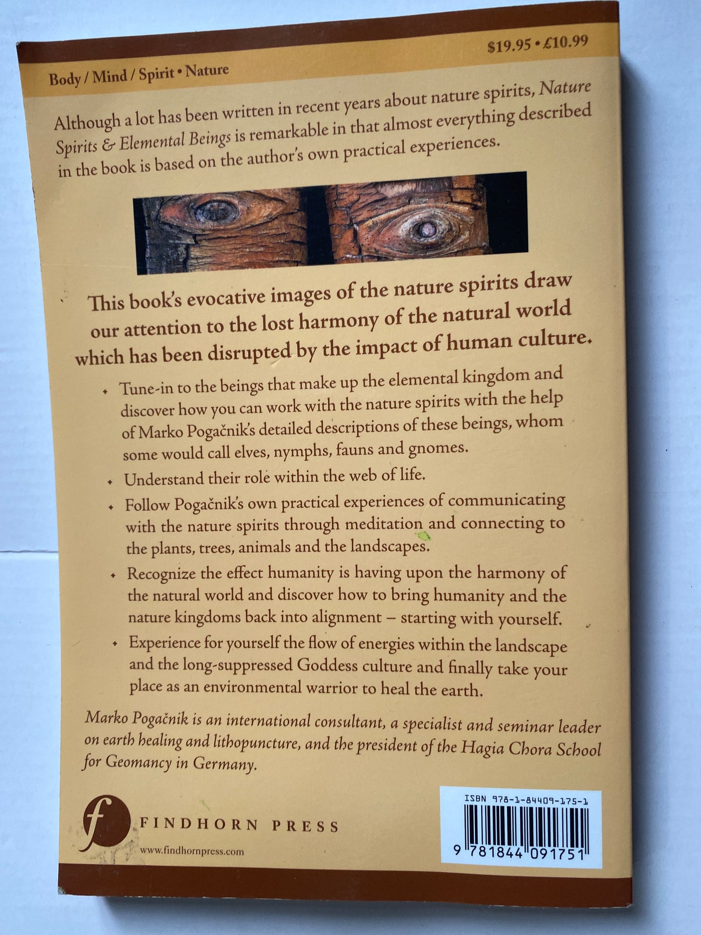 Nature Spirits & Elemental Beings: Working with the Intelligence in Nature by Marko Pogacnik
