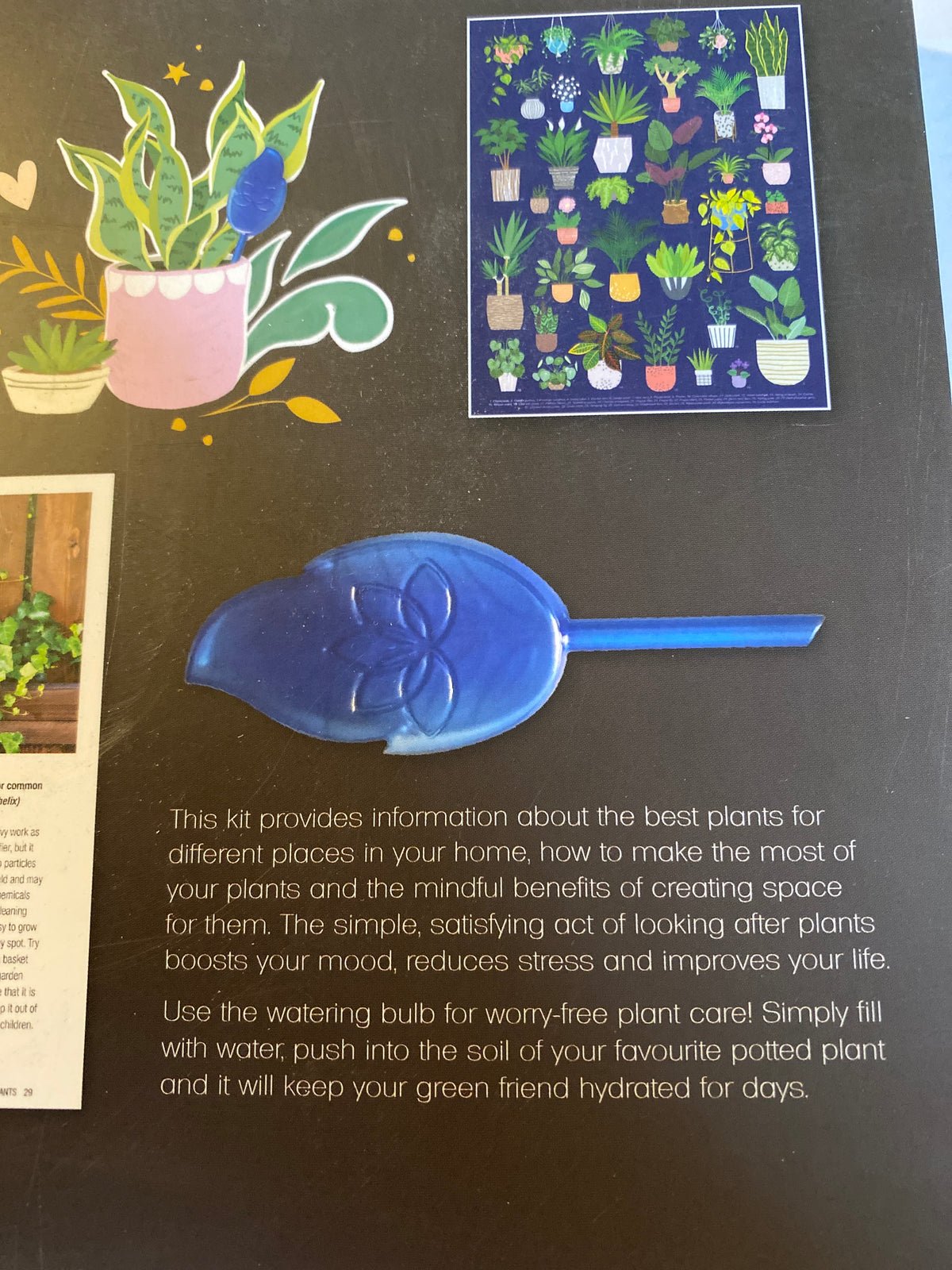 The Power of Plants Self-Care & Plant-Care Kit | Book, Watering Bulb & Poster