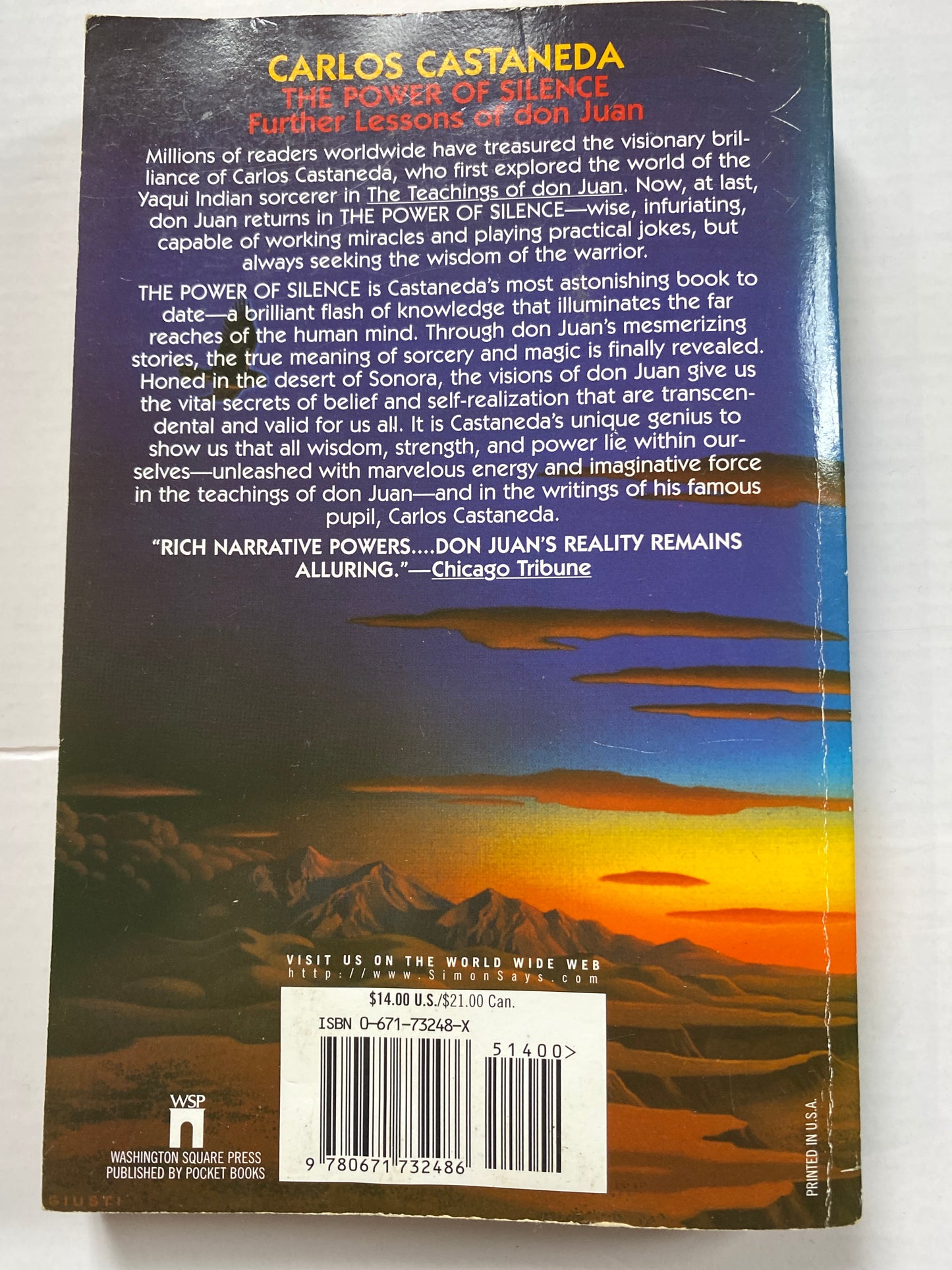 The Power of Silence by Carlos Castaneda