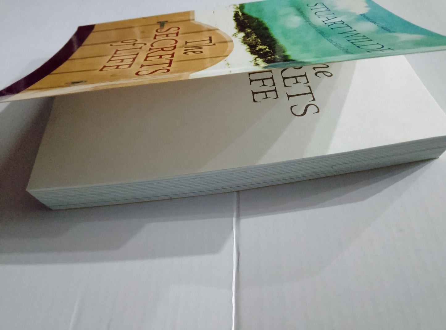 The Secrets of Life - Stuart Wilde Great Condition