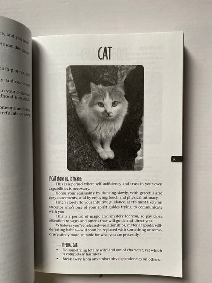 Animal Spirit Guides by Steven D. Farmer Ph.D.
