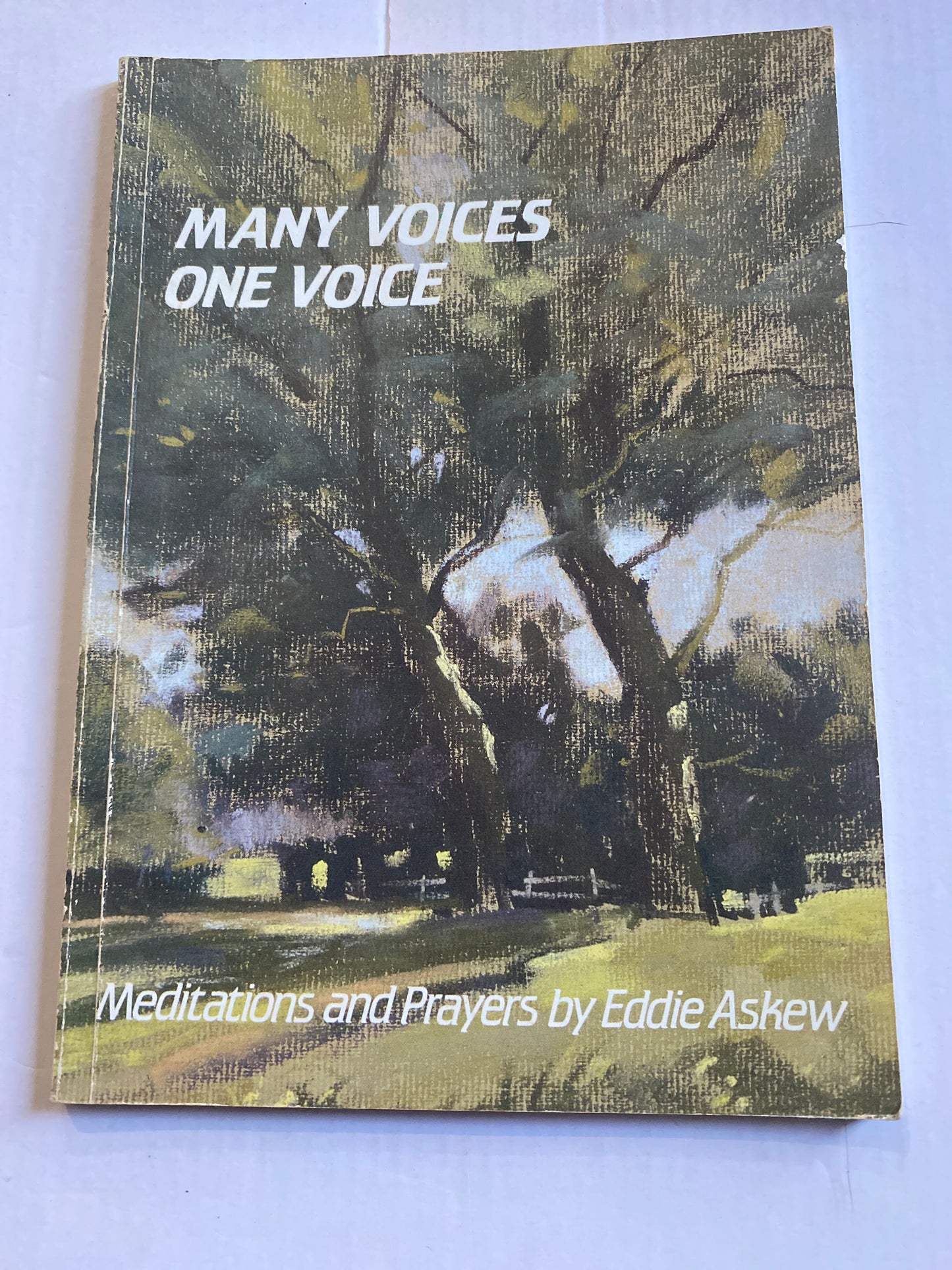 Many Voices, One Voice: Meditations and Prayers by Eddie Askew