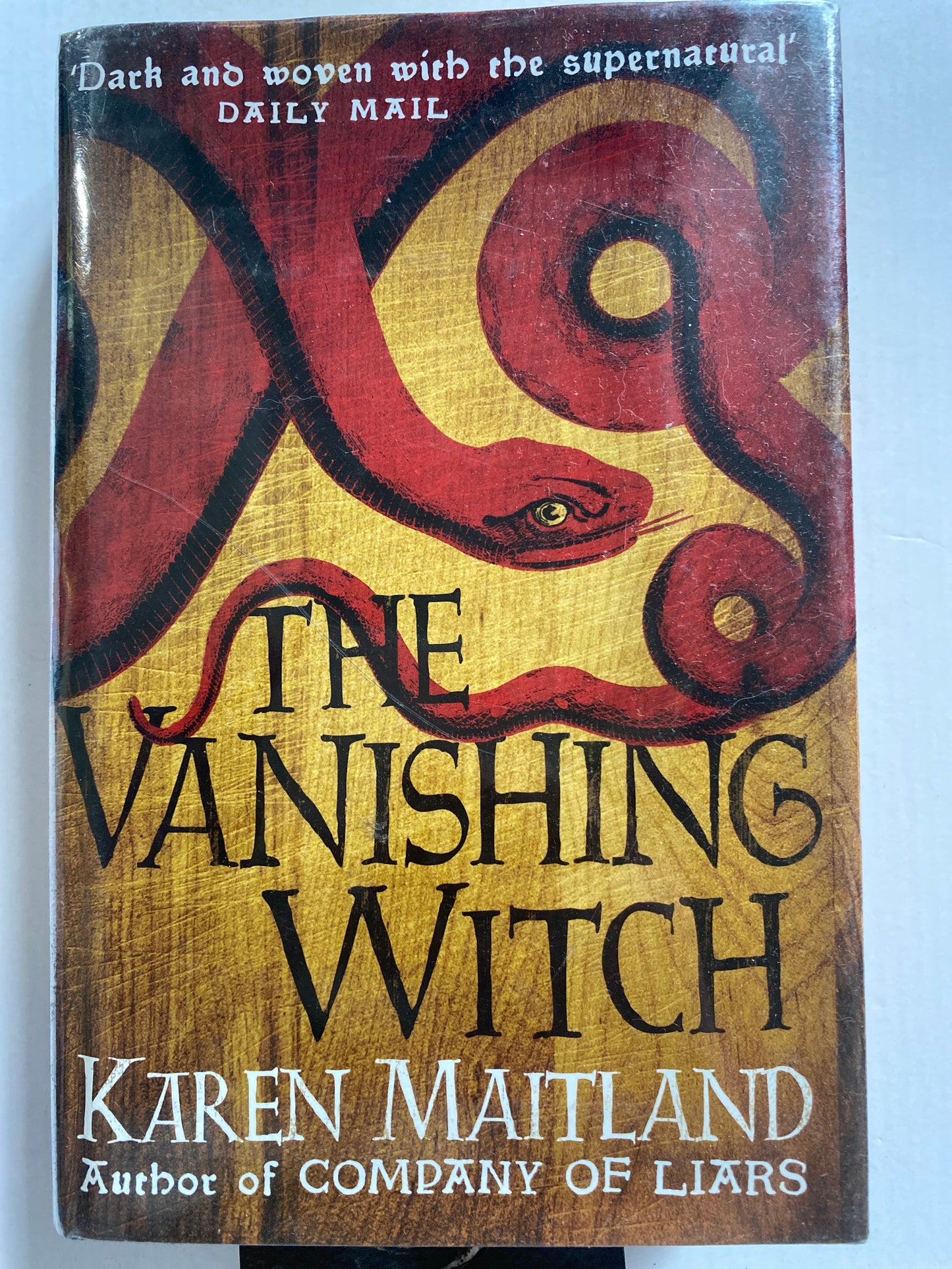 The Vanishing Witch by Karen Maitland