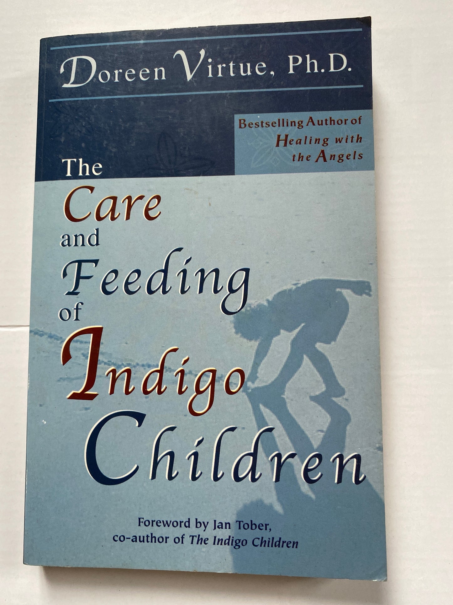 The Care and Feeding of Indigo Children by Doreen Virtue