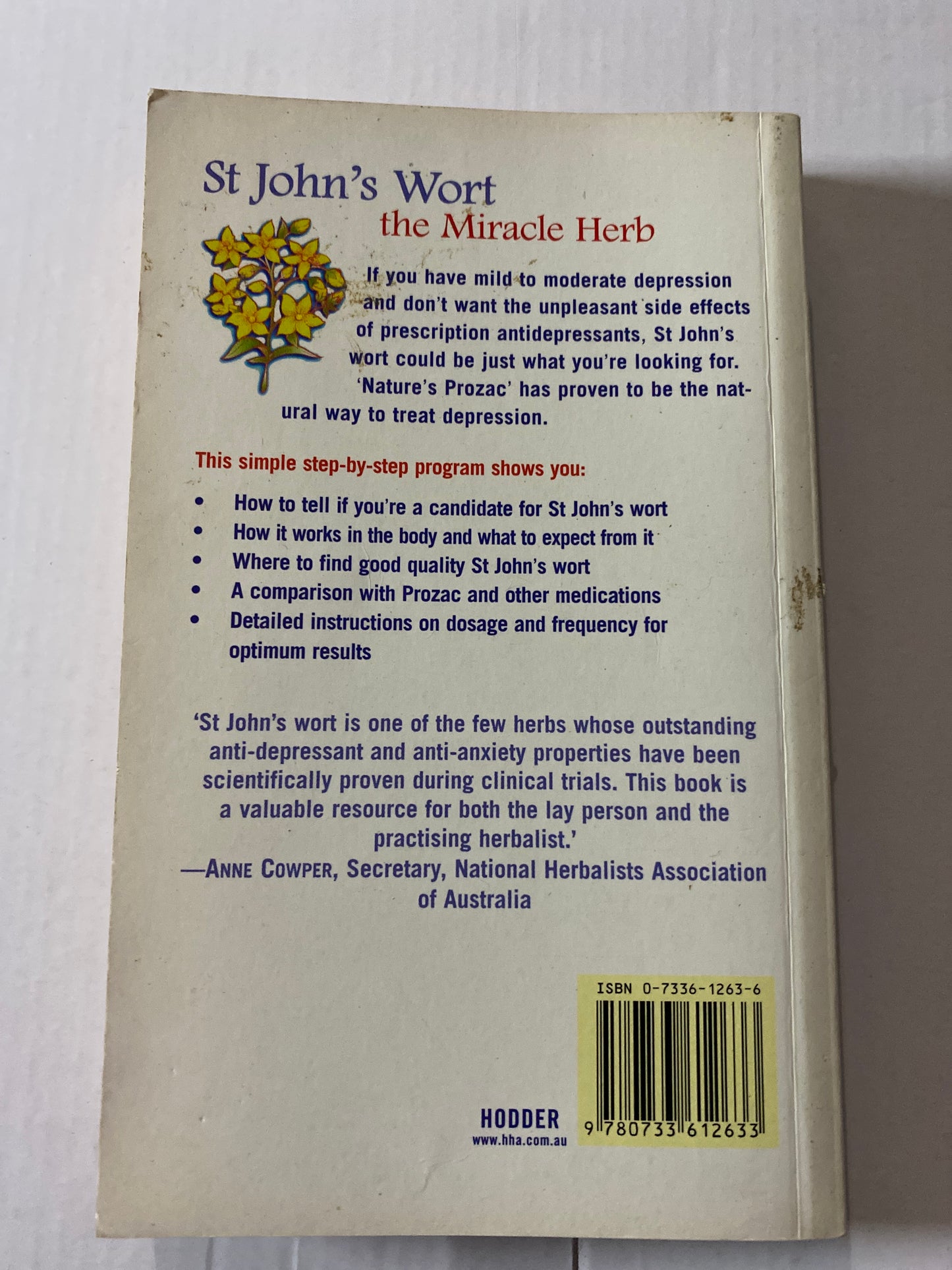 St John's Wort by Larry Katzenstein