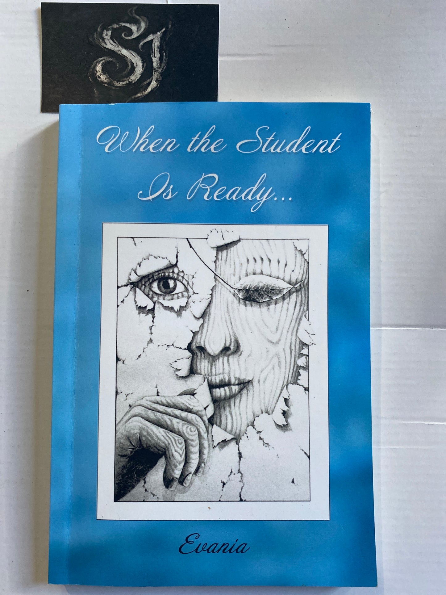 When the Student is Ready: Journeys of Self-Empowerment and Transformation by Evania