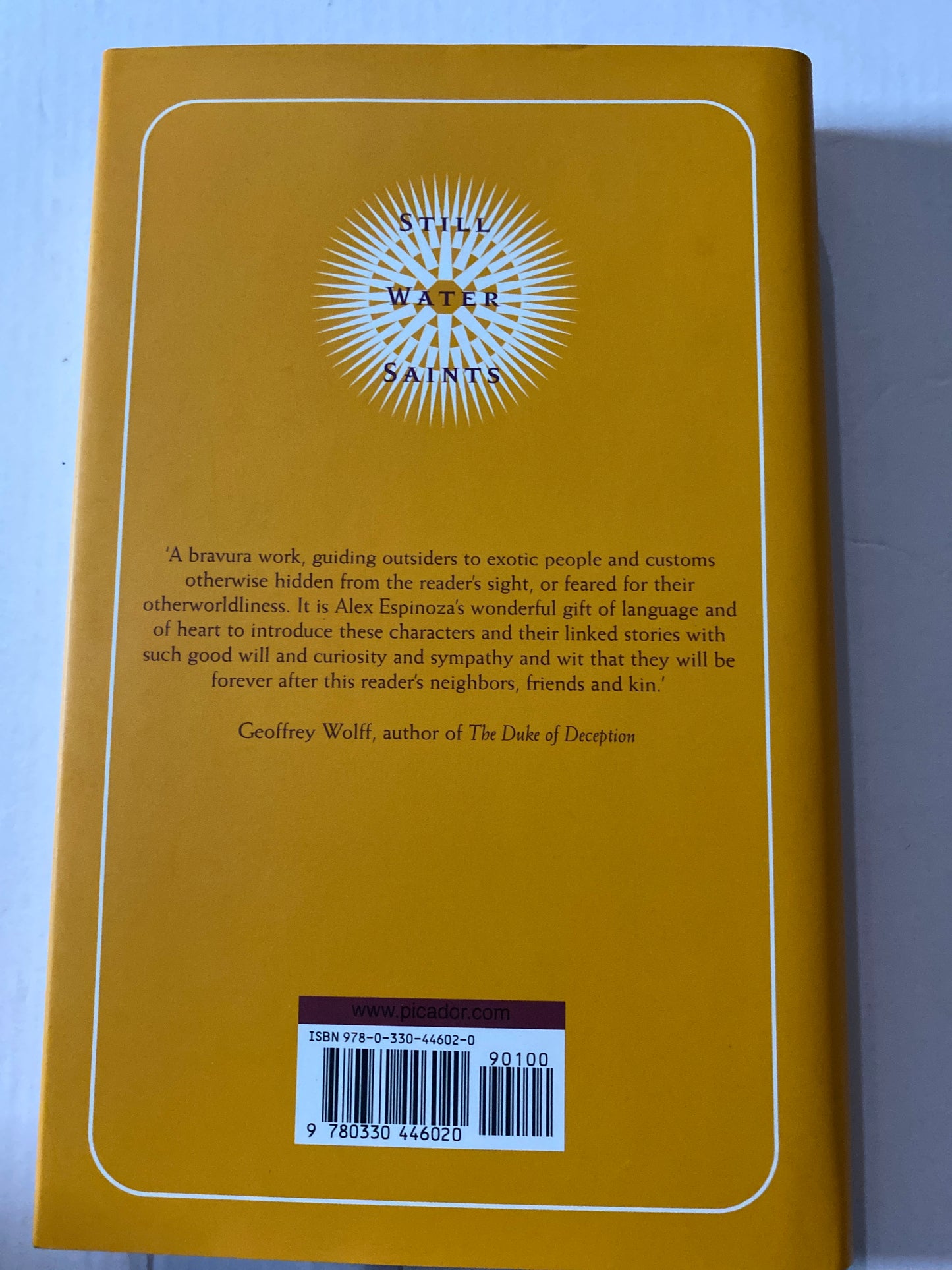 Still Water Saints: A Novel by Alex Espinoza