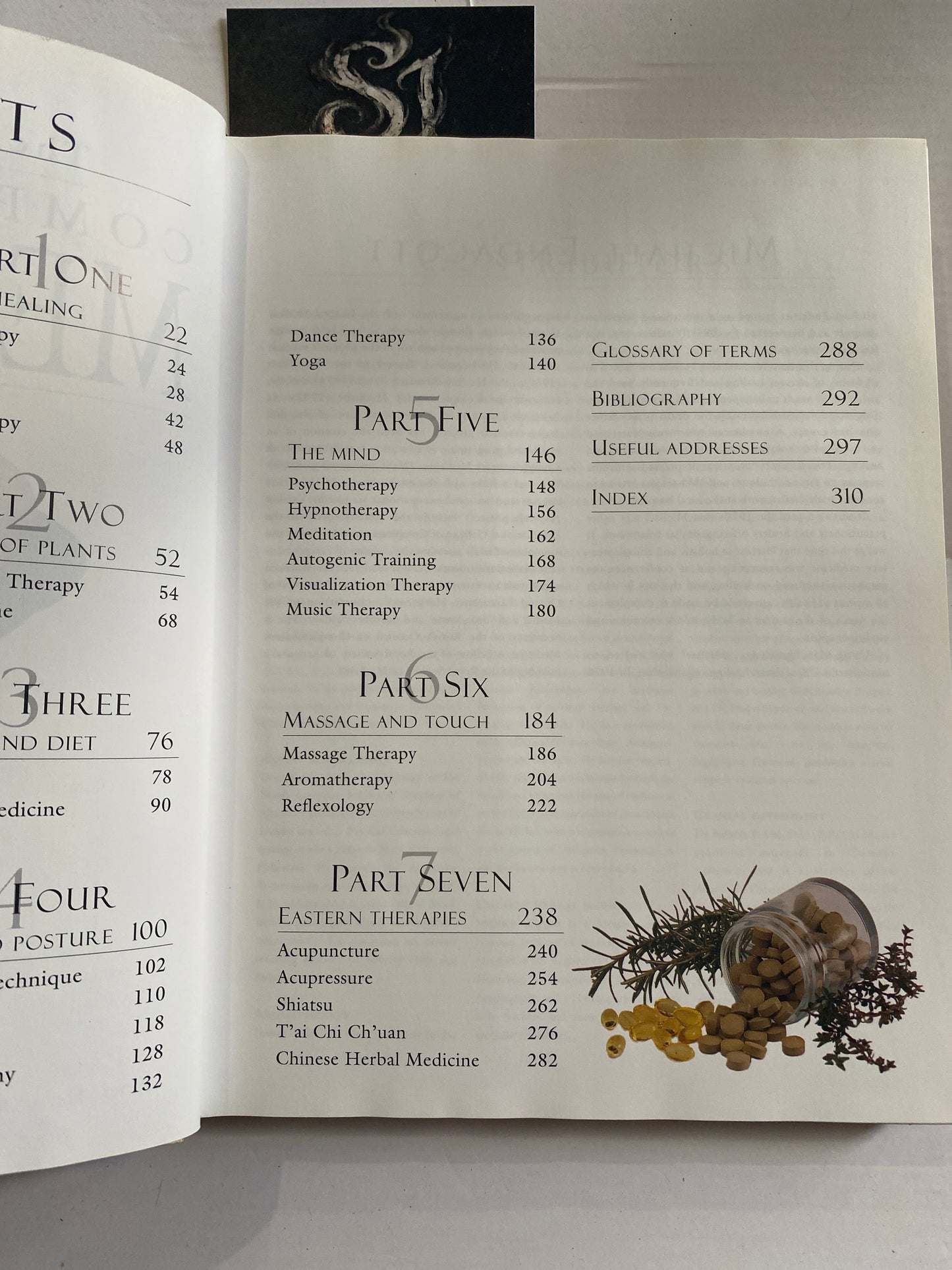 The Encyclopedia of Complementary Medicine by Michael Endacott