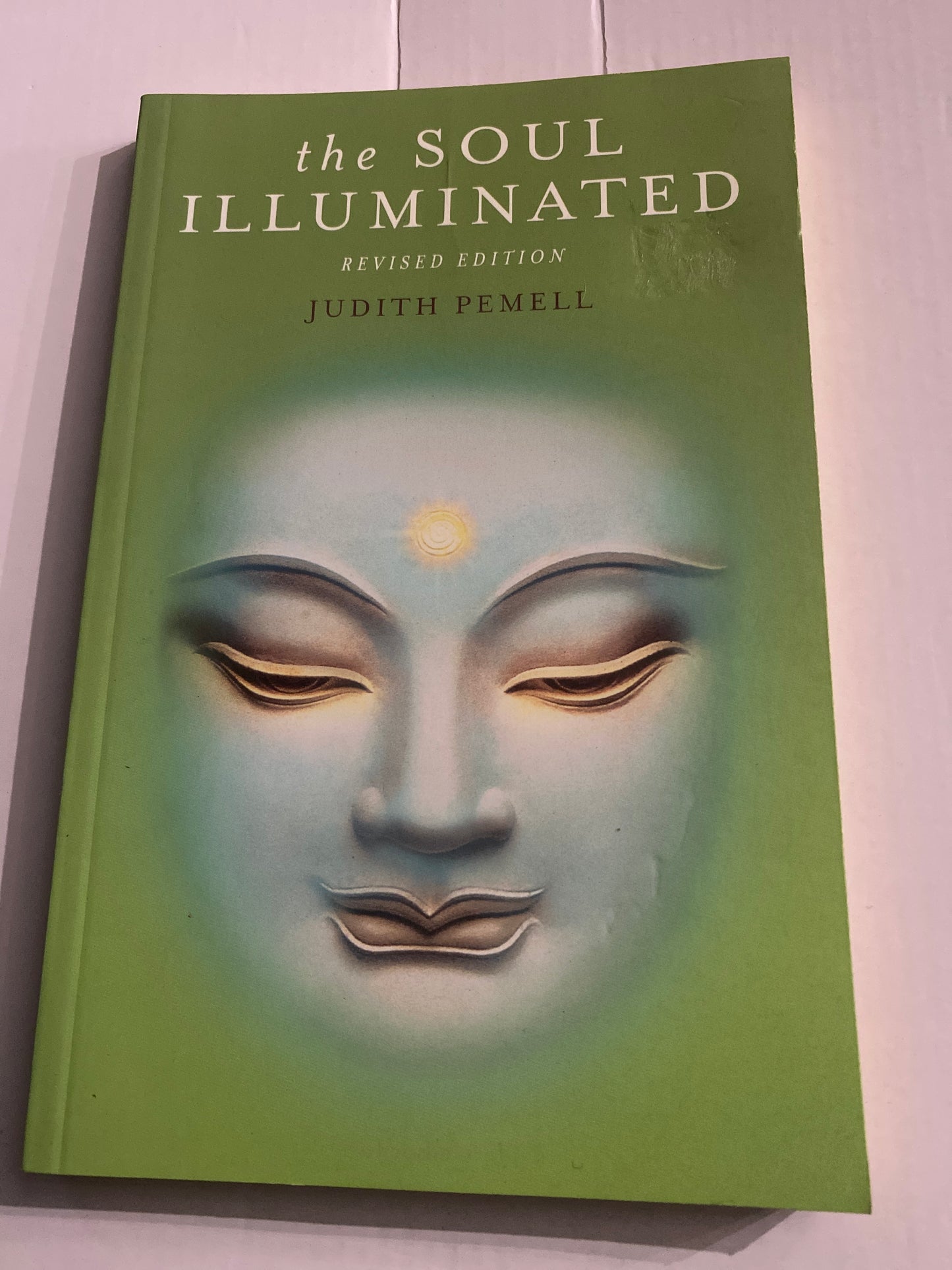 The Soul Illuminated (Revised Edition) – Judith Pemell
