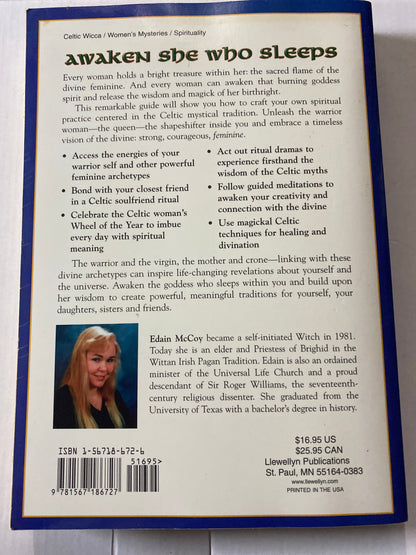 Celtic Women's Spirituality: Accessing the Cauldron of Life