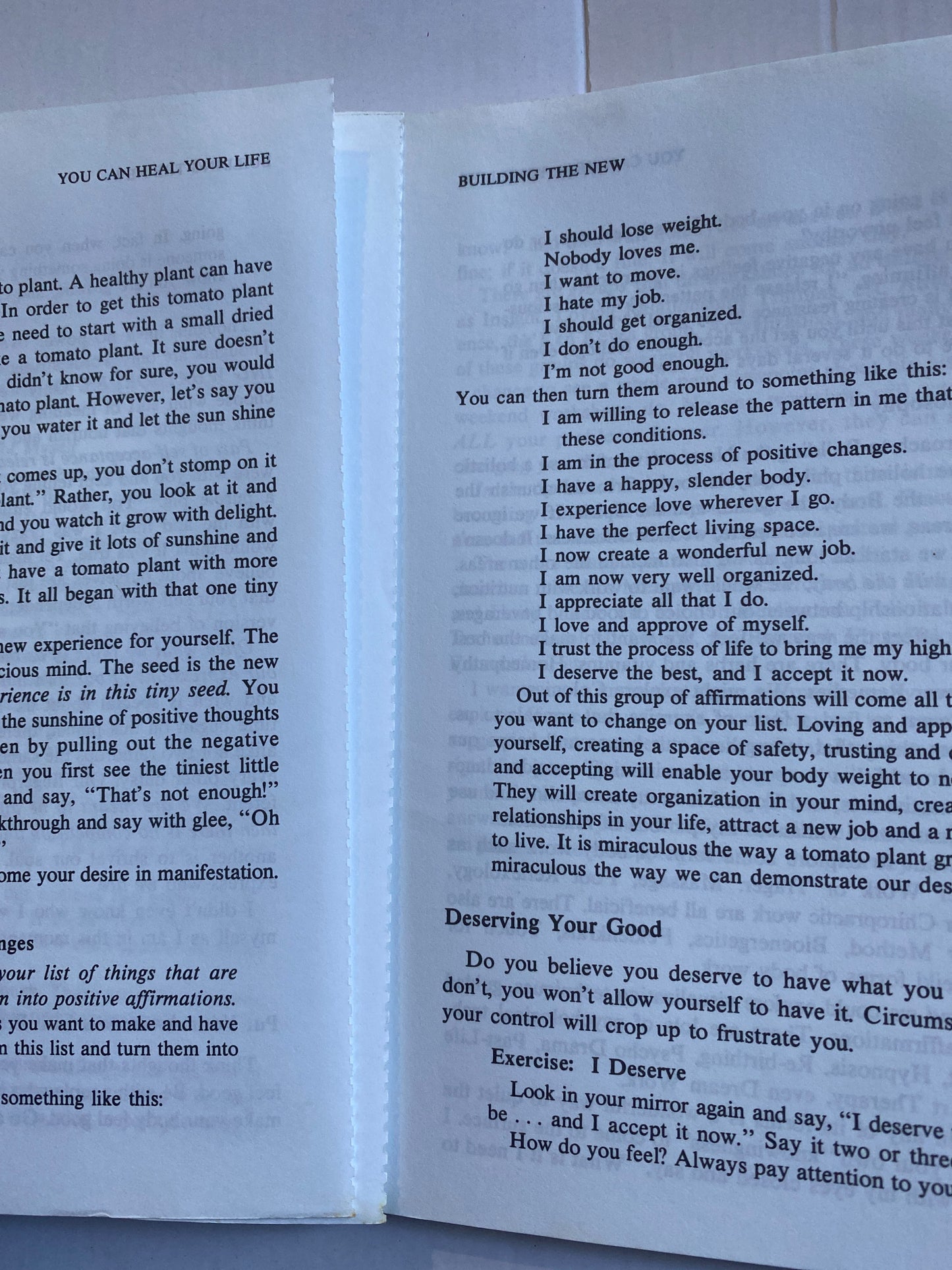 You Can Heal Your Life — Louise L. Hay Excellent Condition (1988)