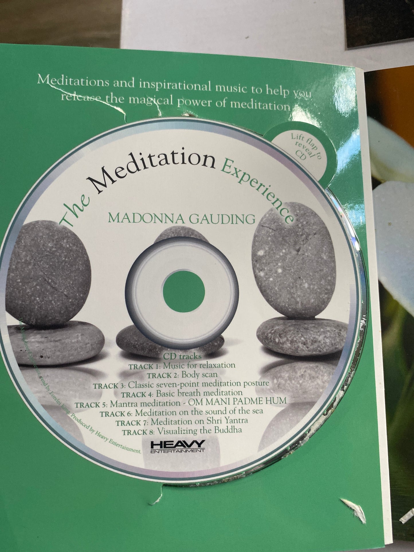 The Meditation Experience: Your Complete Meditation Workshop in a Book by Madonna Gauding