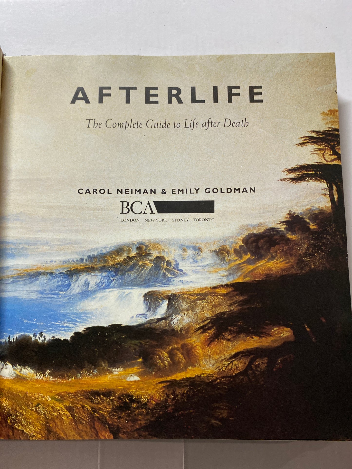 Afterlife: The Complete Guide to Life After Death by Emily Goldman & Carol Neiman