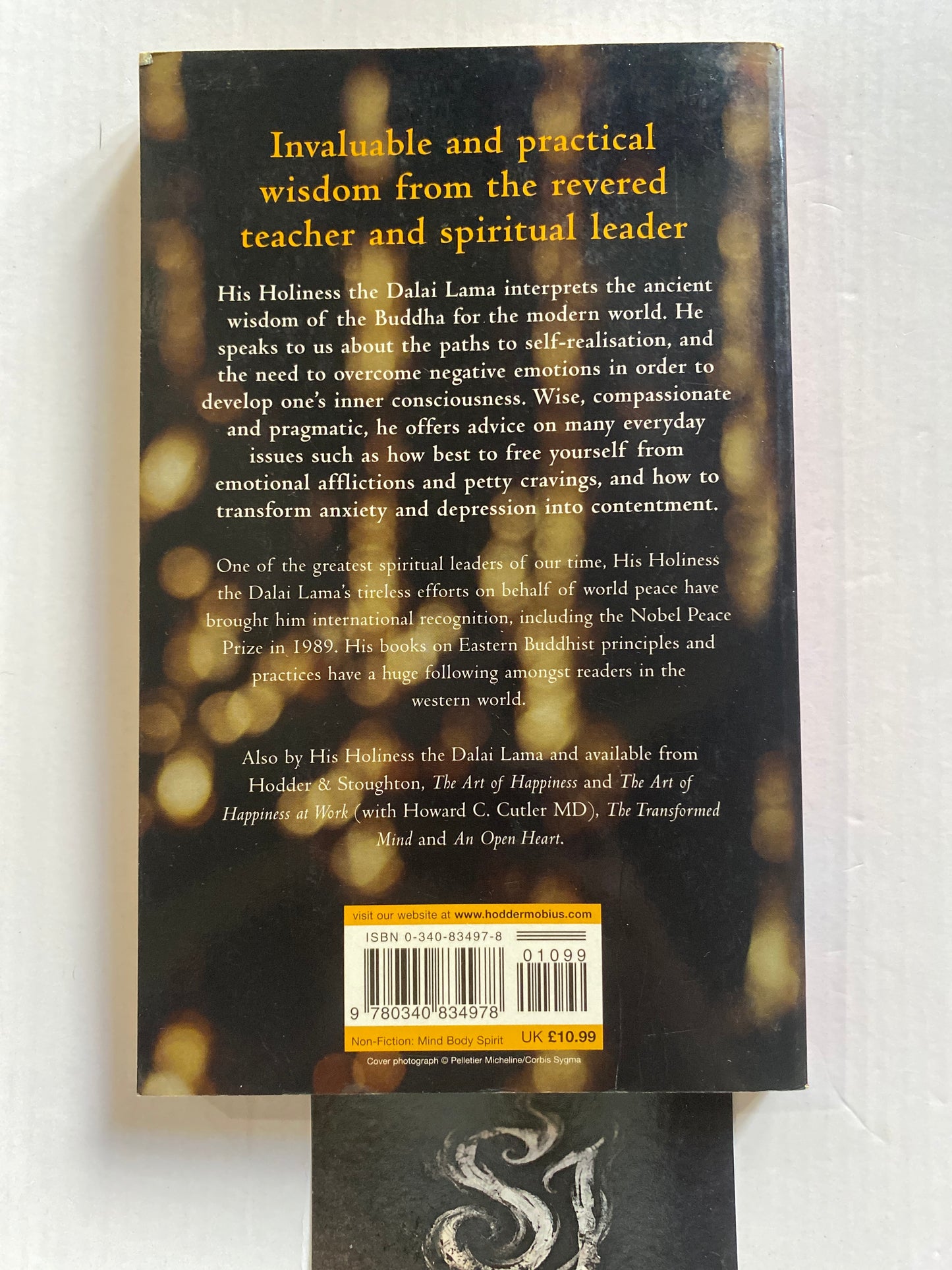 The Many Ways to Nirvana by Dalai Lama