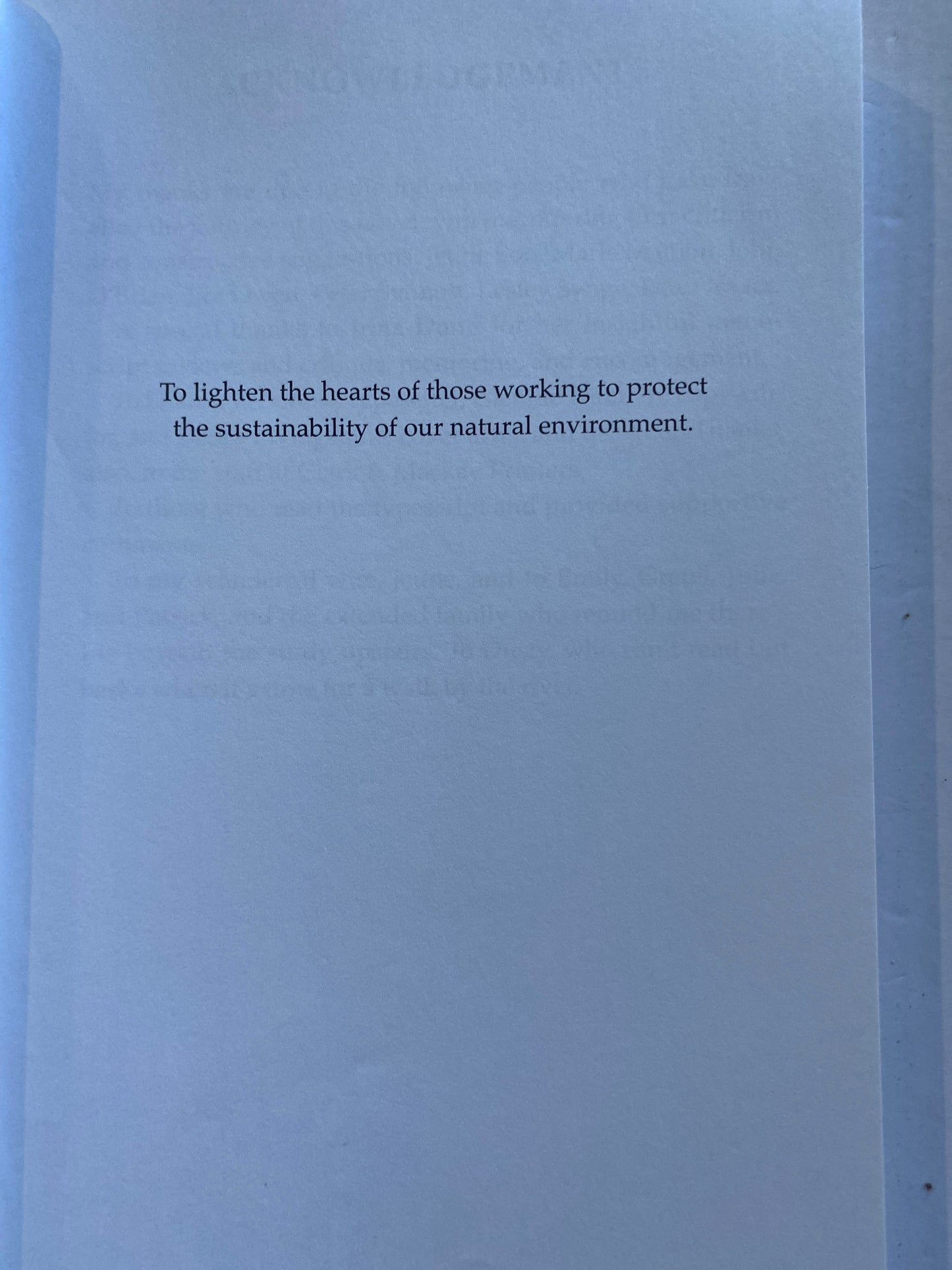 The Fake Prince by John Synott