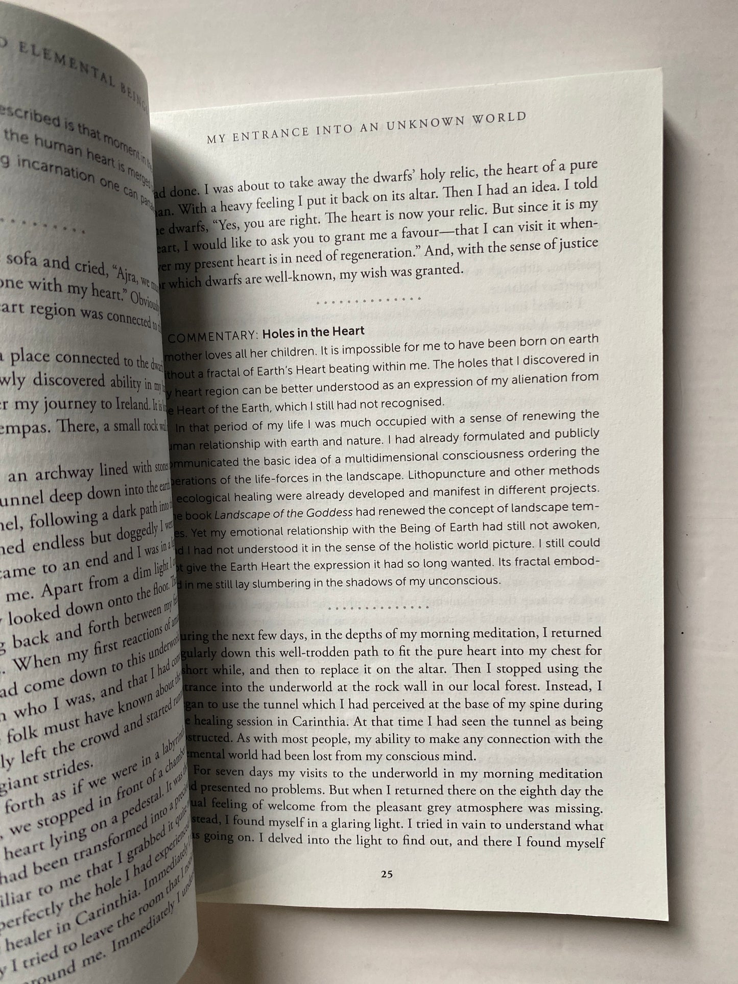 Nature Spirits & Elemental Beings: Working with the Intelligence in Nature by Marko Pogacnik