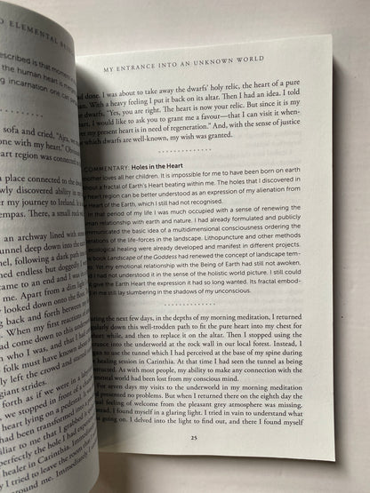 Nature Spirits & Elemental Beings: Working with the Intelligence in Nature by Marko Pogacnik