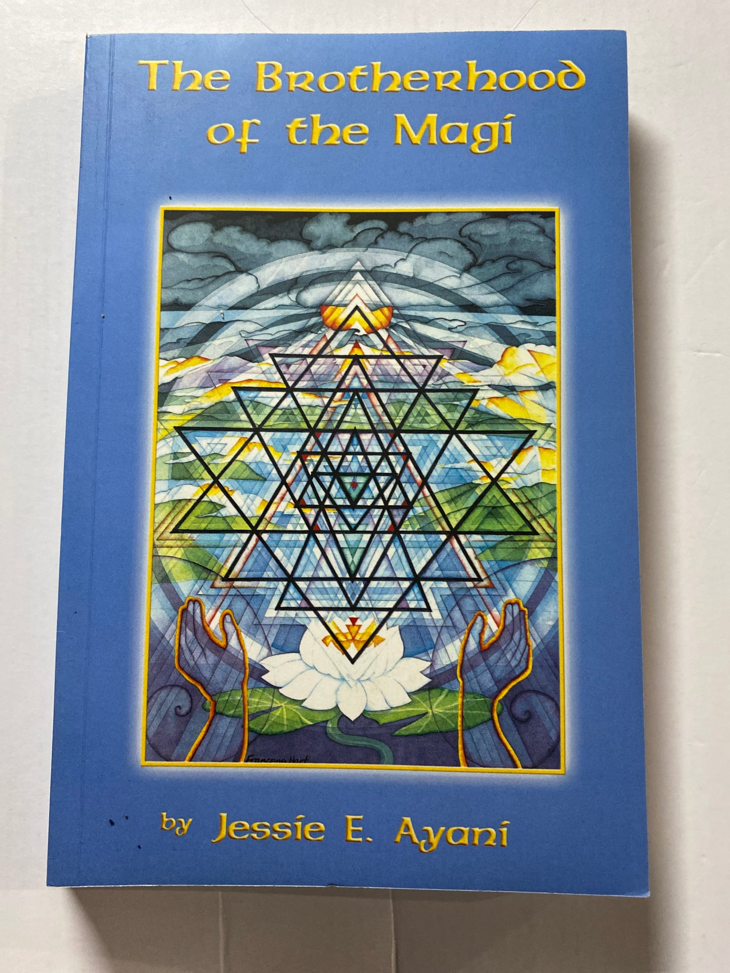 The Brotherhood of the Magi by Jessie Ayani