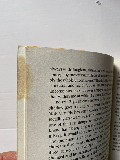 A Little Book on the Human Shadow (Little Books) by Robert Bly