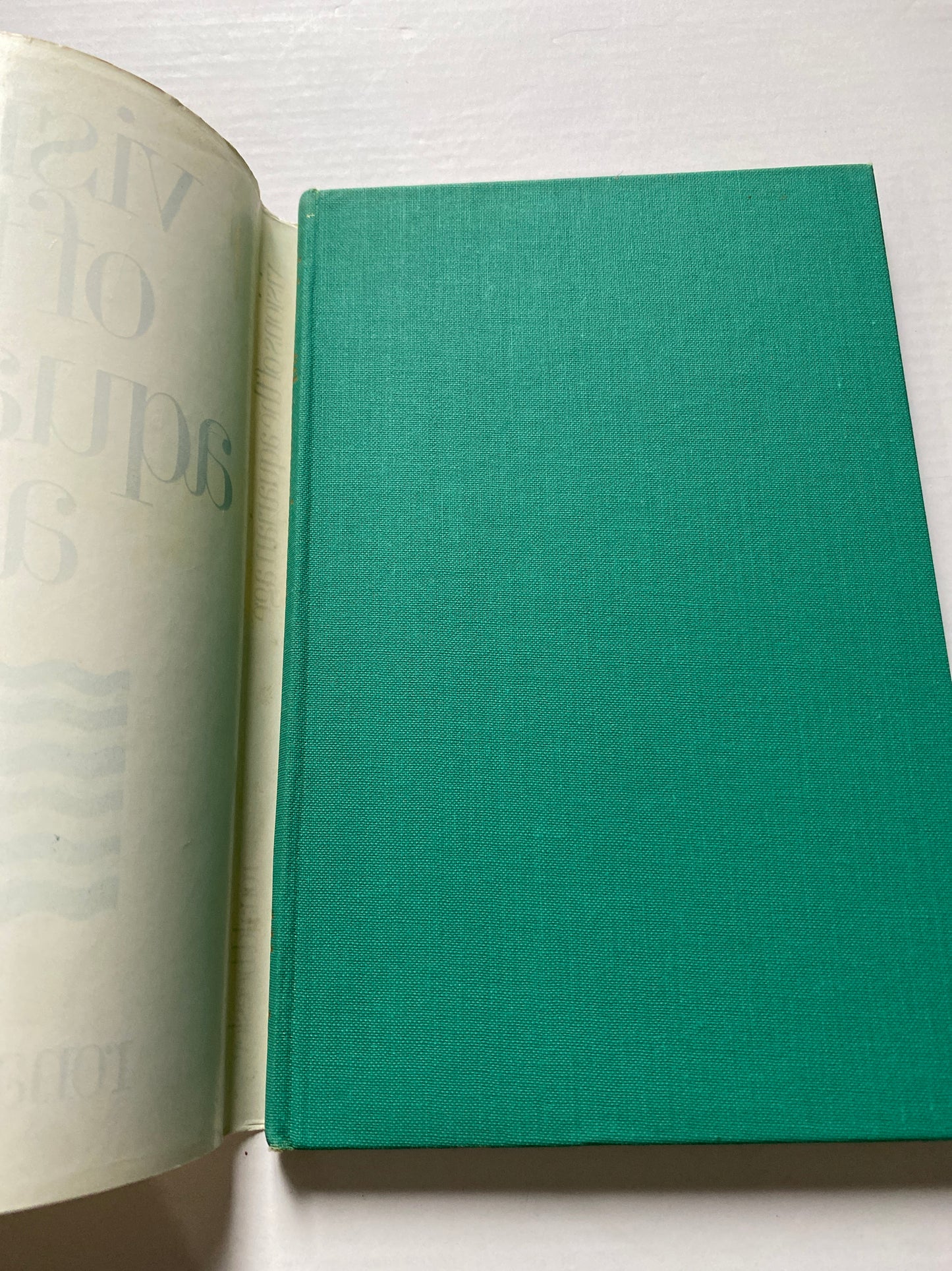 Visions of the Aquarian Age by Ronald Beesley (1978) Rare