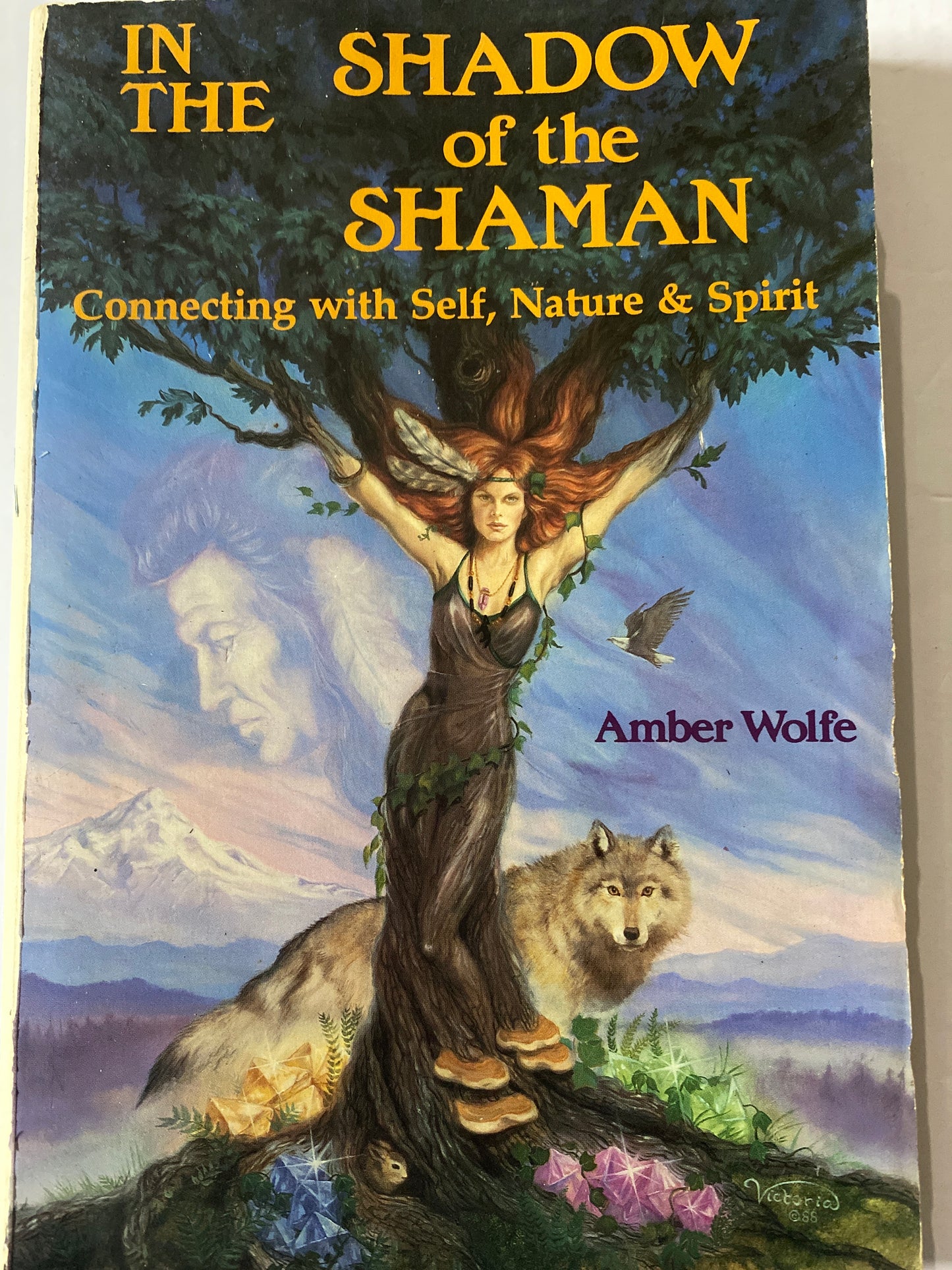 In the Shadow of the Shaman: Connecting with Self, Nature & Spirit by Amber Wolfe