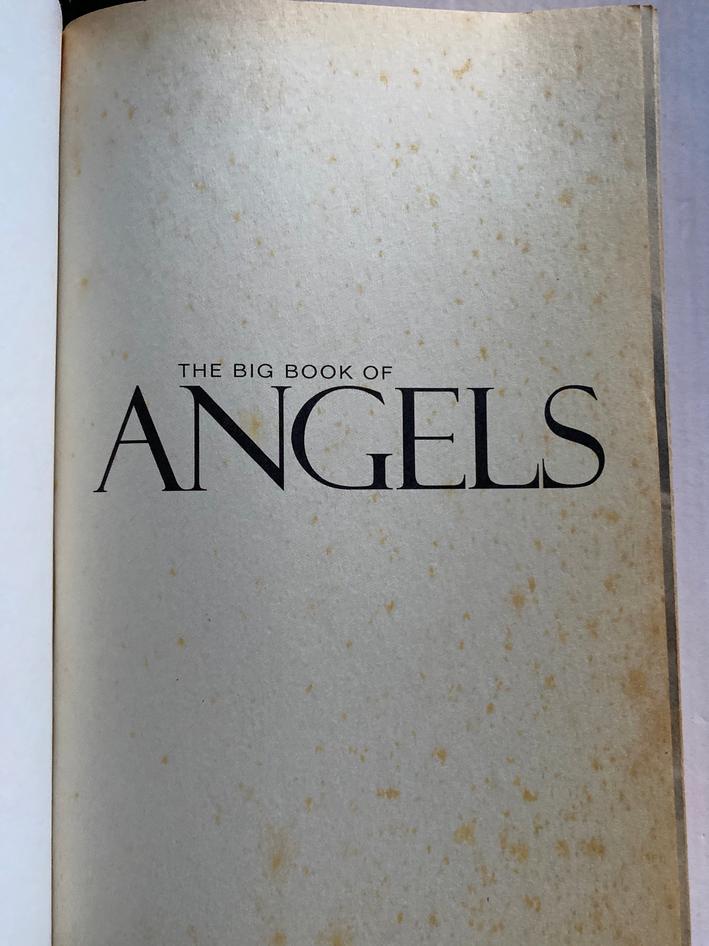 The Big Book of Angels By Wendy Schuman 2003