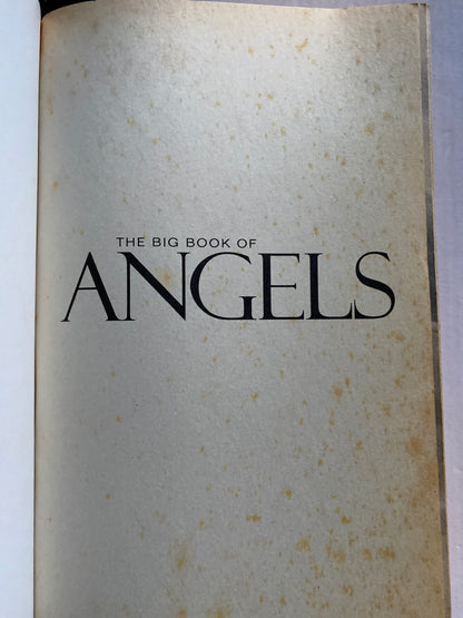 The Big Book of Angels By Wendy Schuman 2003