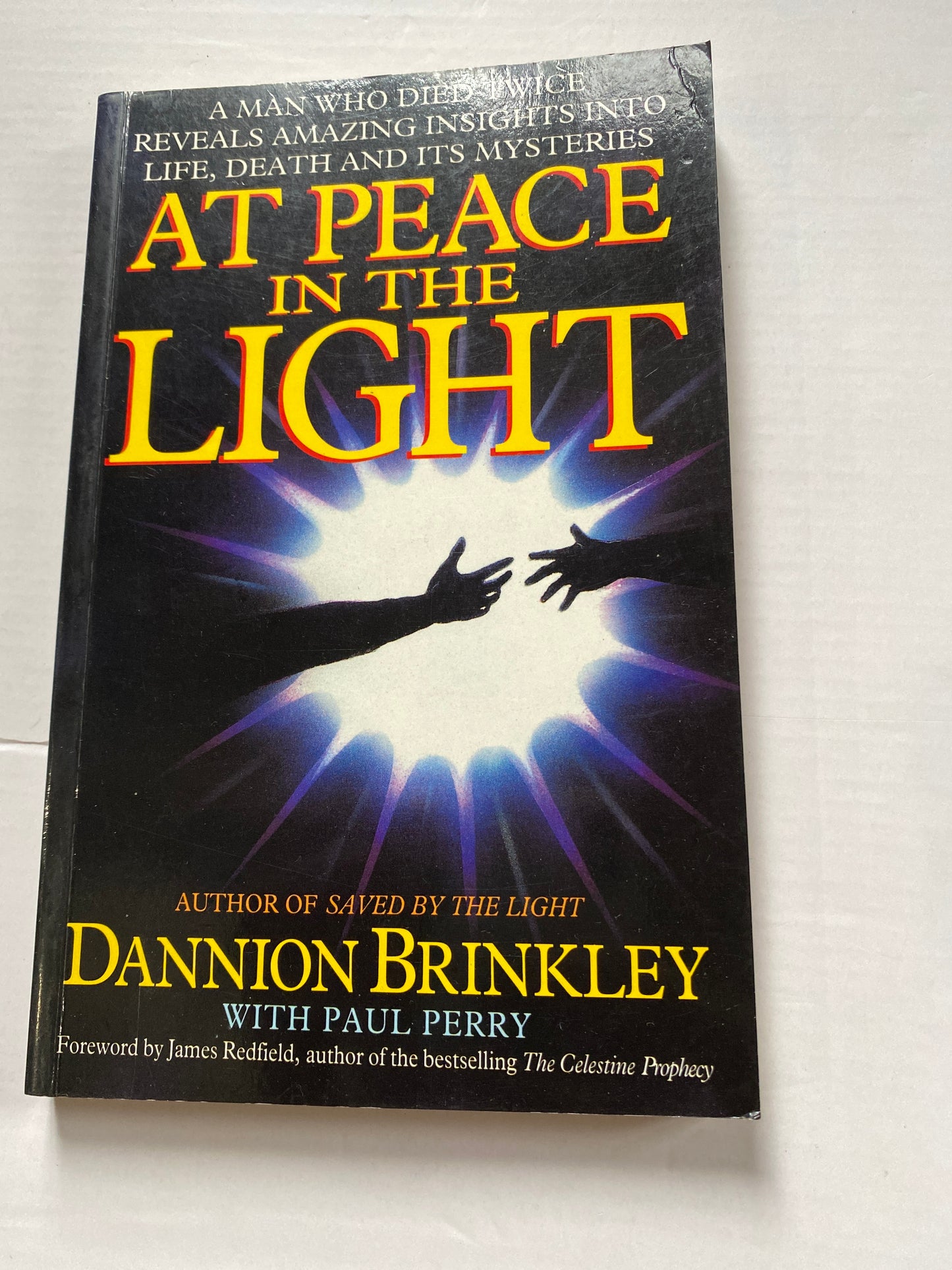 At Peace in the Light by Dannion Brinkley