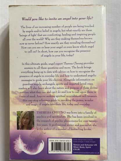 How to See Your Angels by Theresa Cheung