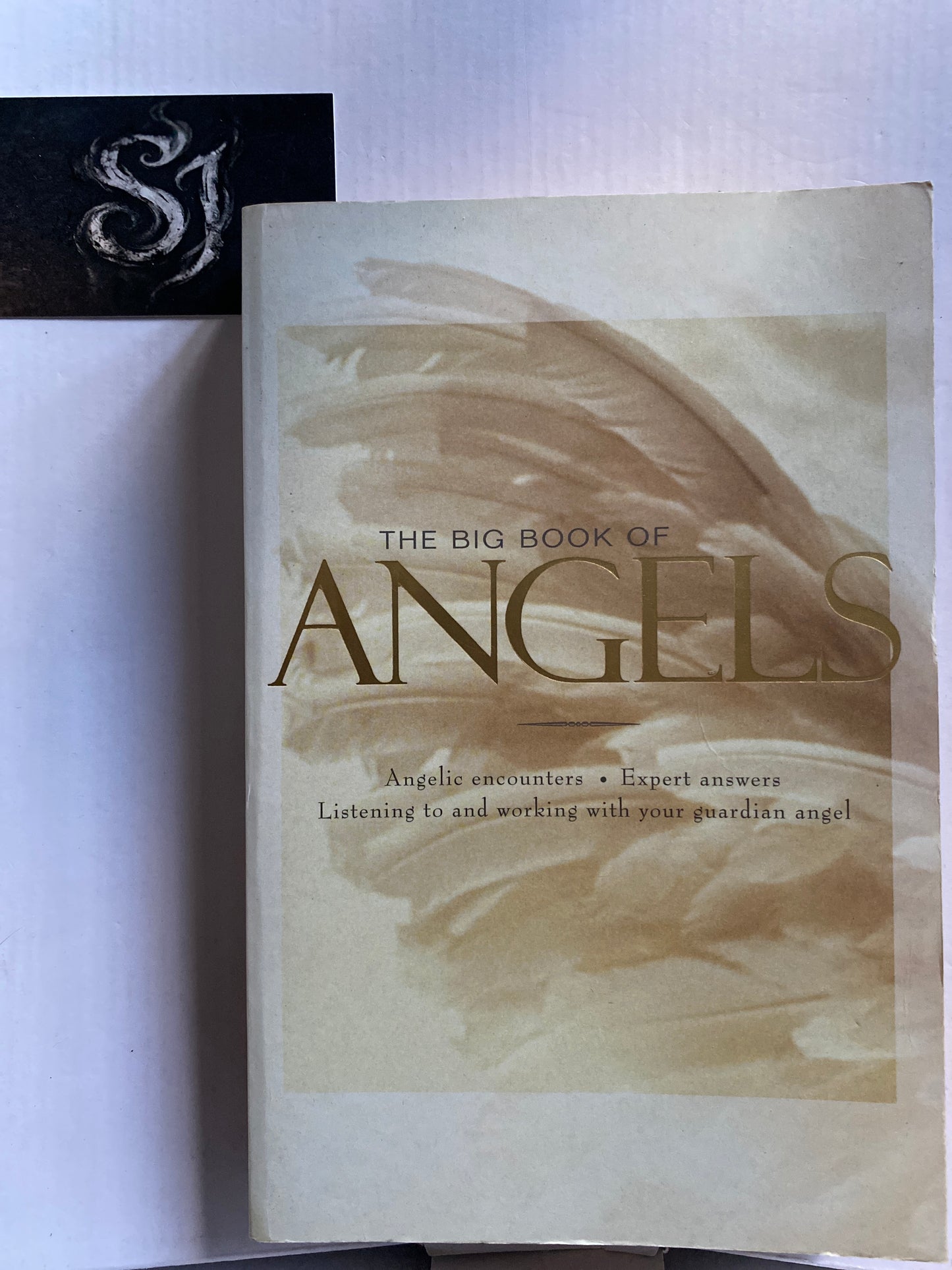 The Big Book of Angels By Wendy Schuman 2003