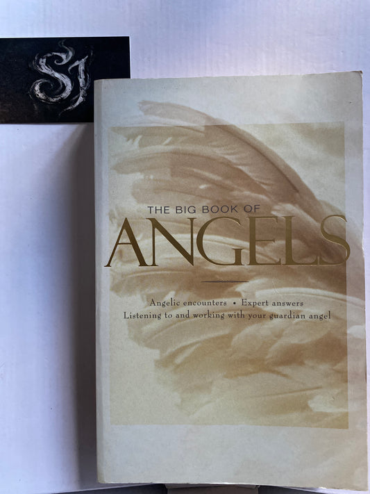 The Big Book of Angels By Wendy Schuman 2003