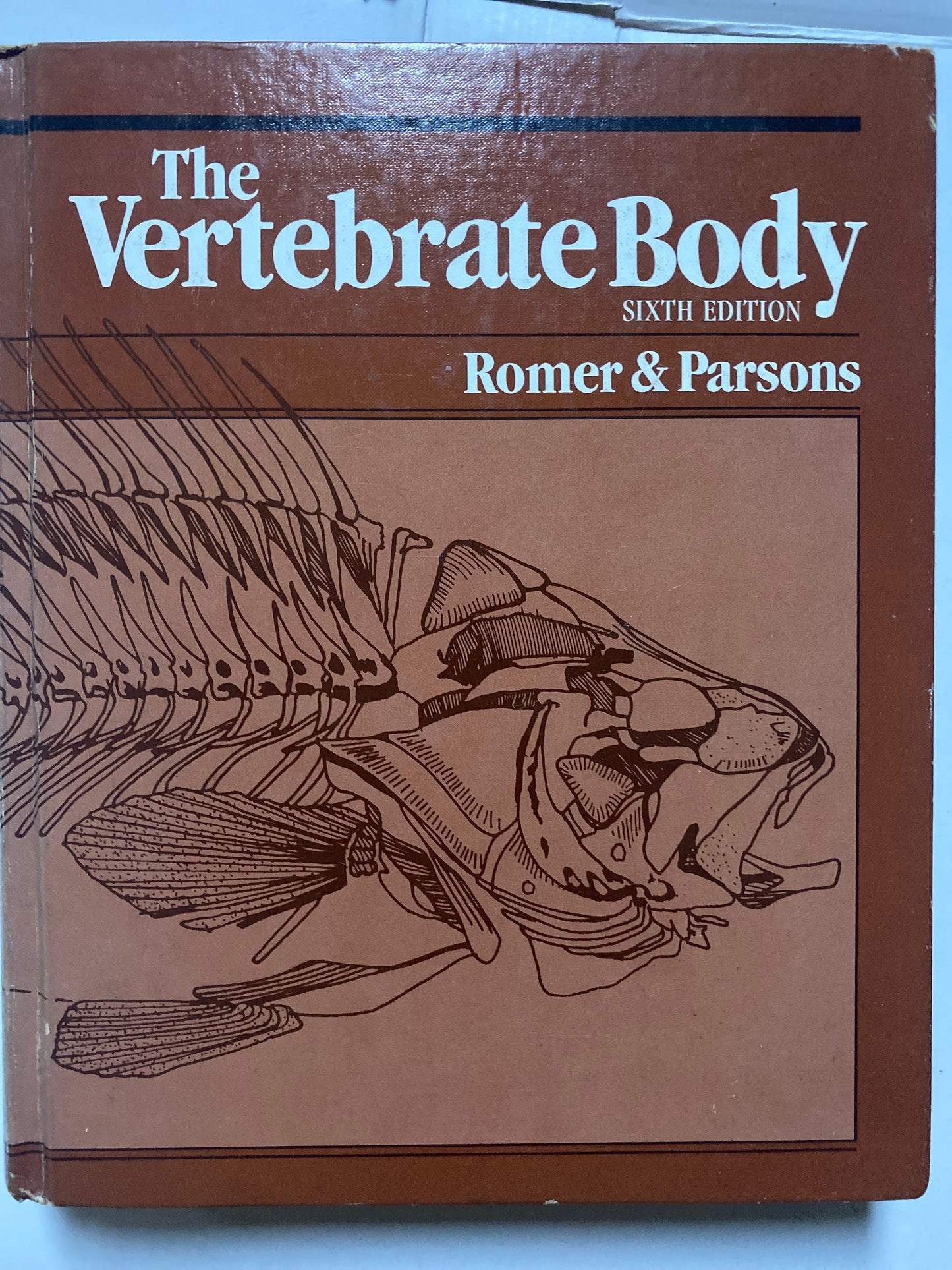 The Vertebrate Body by Alfred Sherwood Romer