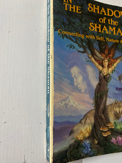 In the Shadow of the Shaman: Connecting with Self, Nature & Spirit by Amber Wolfe