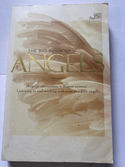 The Big Book of Angels By Wendy Schuman