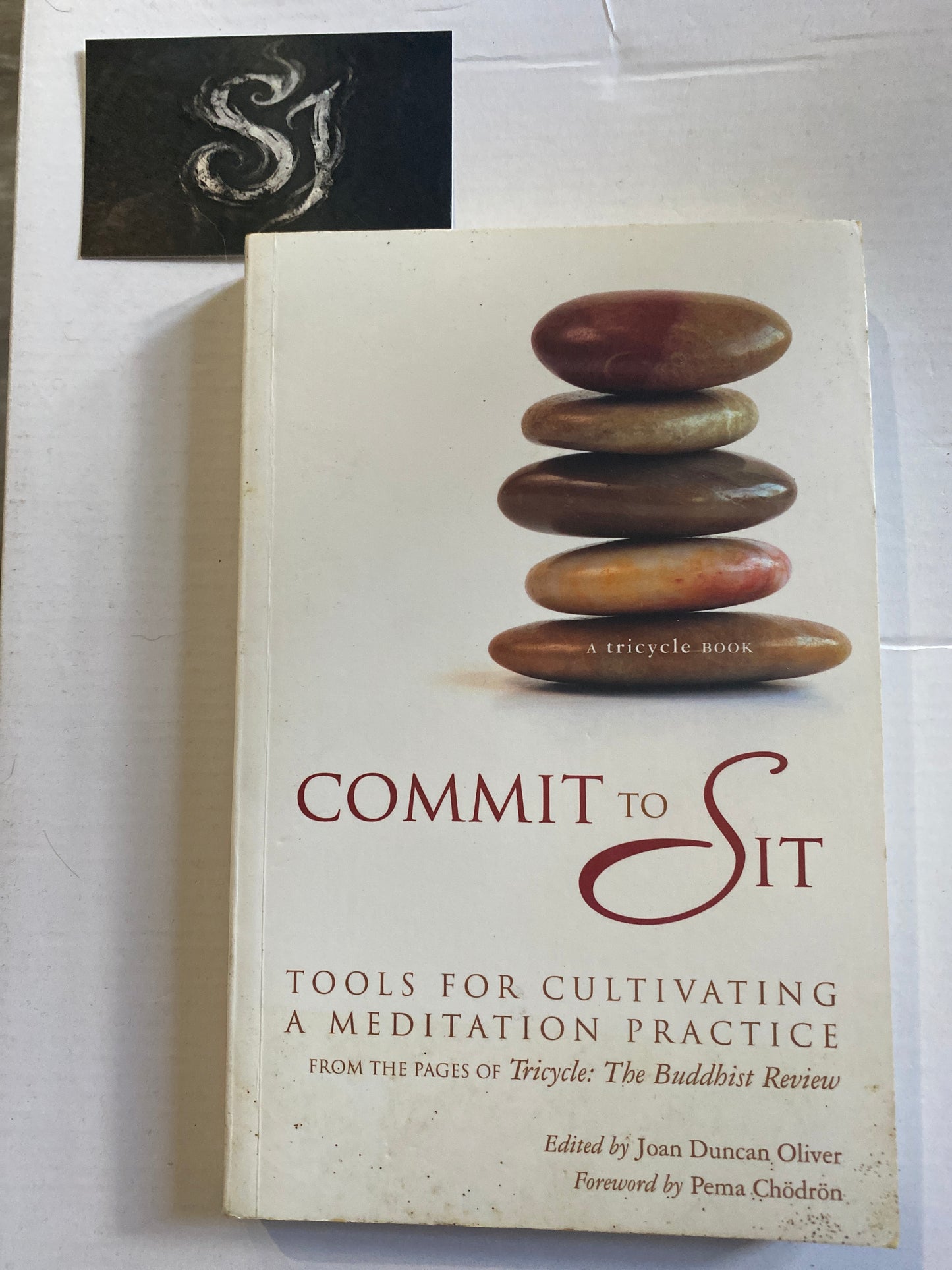 Commit to Sit by Joan Duncan Oliver & James Shaheen