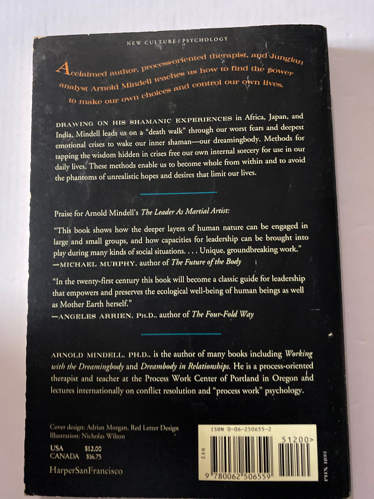 The Shaman's Body: A New Shamanism for Transforming Health, Relationships, and the Community by Arnold Mindell