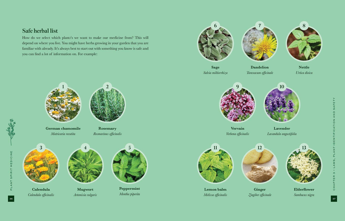 Plant Spirit Medicine: Reconnect with Nature & Heal from Within