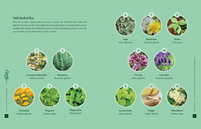 Plant Spirit Medicine: Reconnect with Nature & Heal from Within