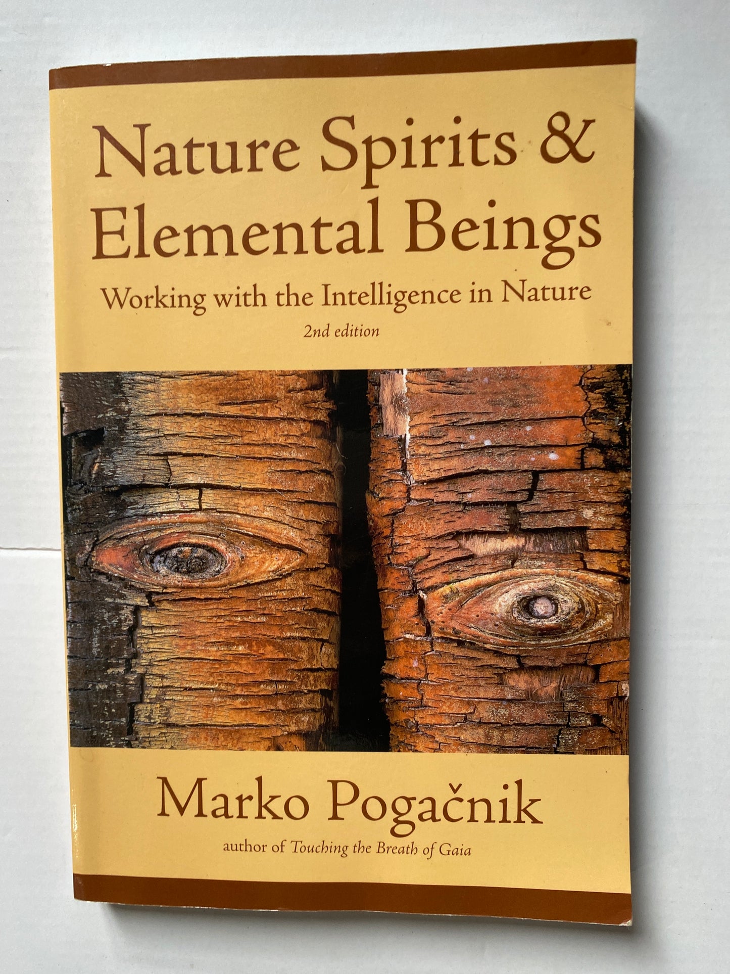 Nature Spirits & Elemental Beings: Working with the Intelligence in Nature by Marko Pogacnik