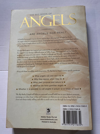 The Big Book of Angels By Wendy Schuman