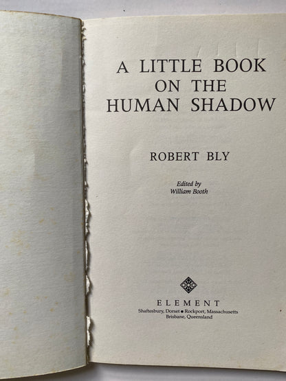 A Little Book on the Human Shadow (Little Books) by Robert Bly