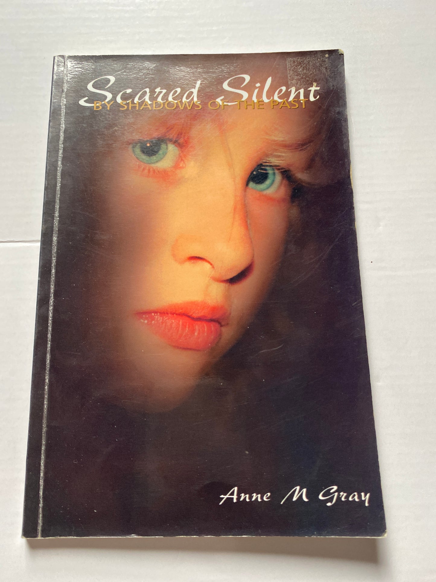 Scared Silent by Shadows of the Past by Anne M. Gray