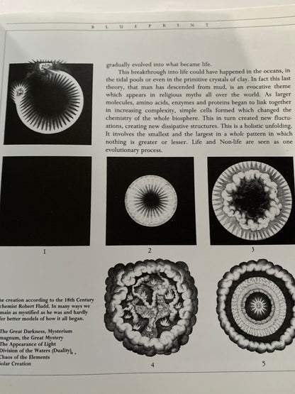 Unknown Man: The Mysterious Birth of a New Species by Yatri
