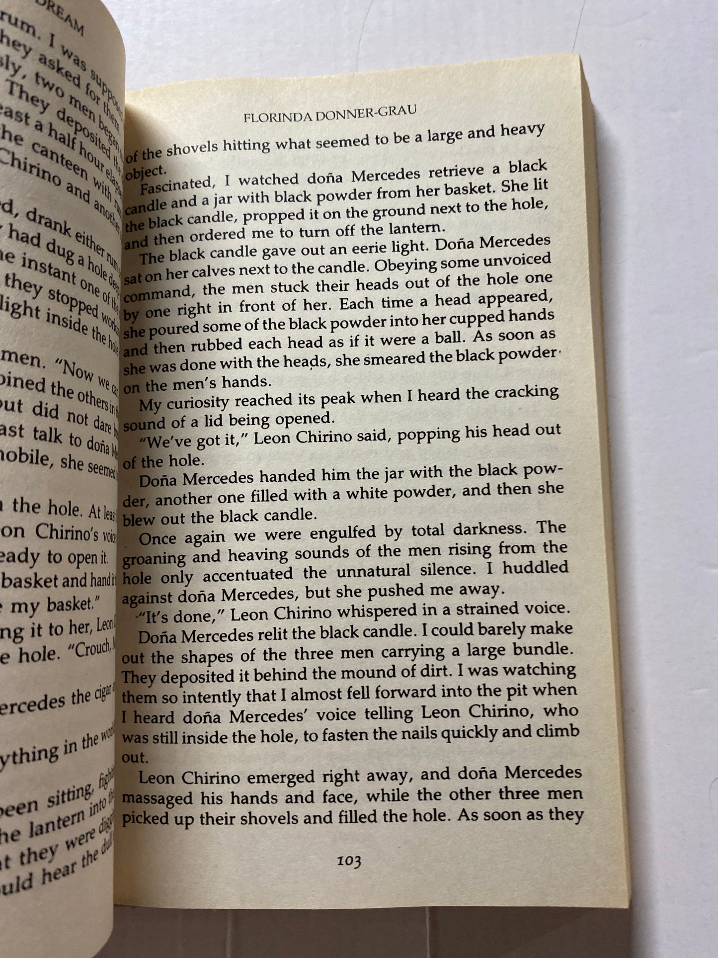 The Witch's Dream: A Healer's Way of Knowledge by Florinda Donner-Grau