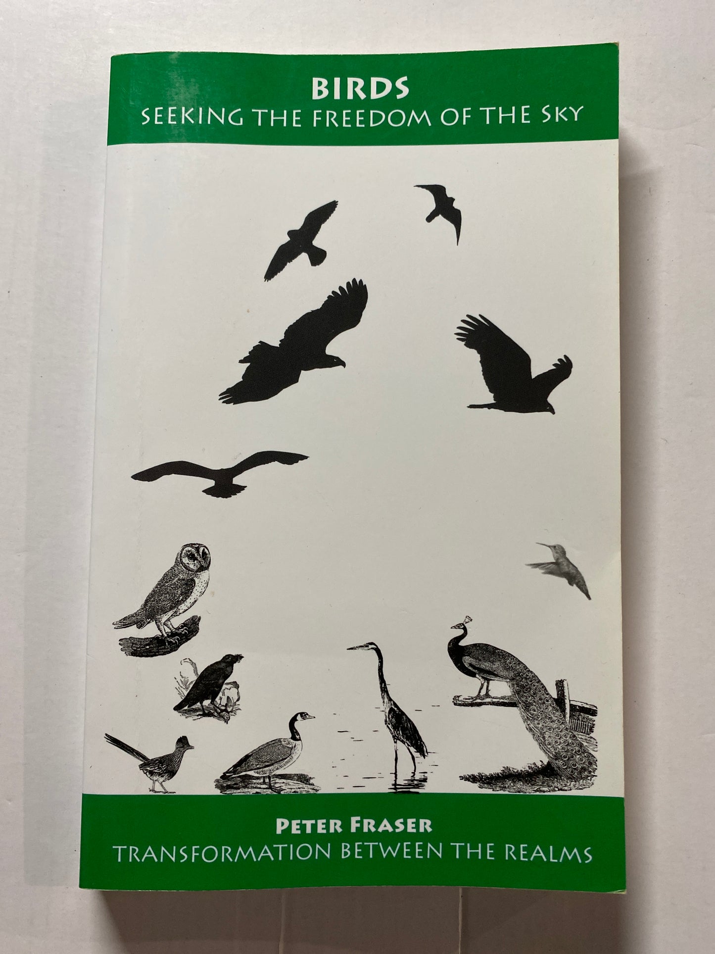 Birds: Seeking the Freedom of the Sky by Peter Fraser